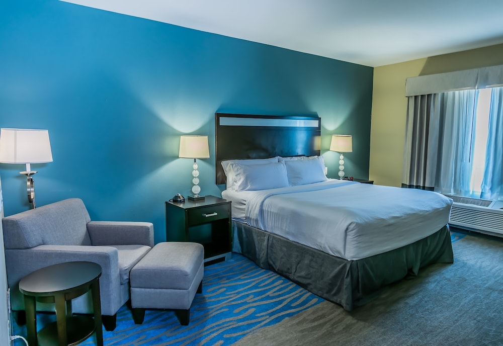 Holiday Inn Houston Webster by IHG - photo 17