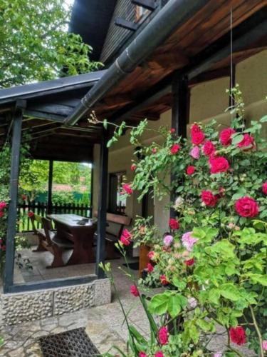 Silva Cabin In the heart of Bran next to the Castle w free parking — 4-Star Luxury Hotel in Bran, Romania
