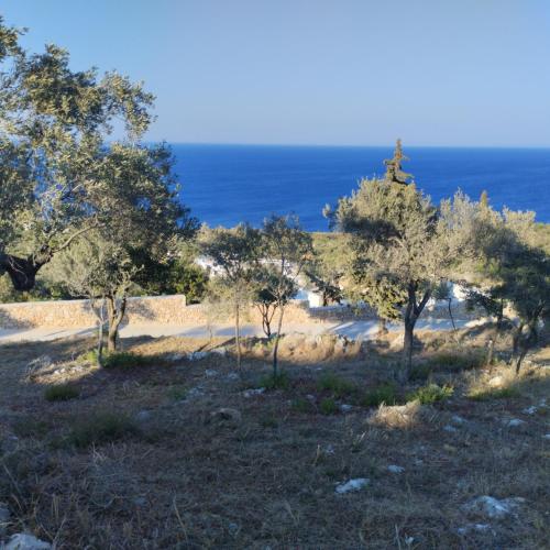 Plot to rent — Agios Nikolaos — photo 4