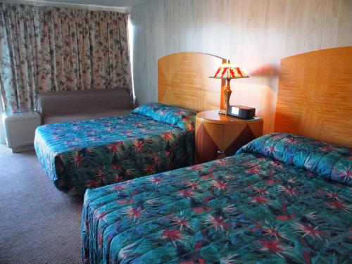 Suitcase Motel & Travel - photo 37
