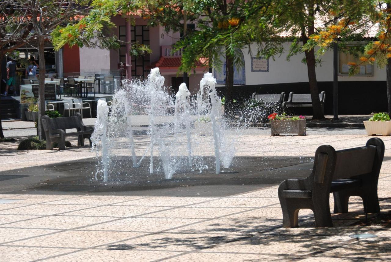 Serenity — Calheta — photo 3