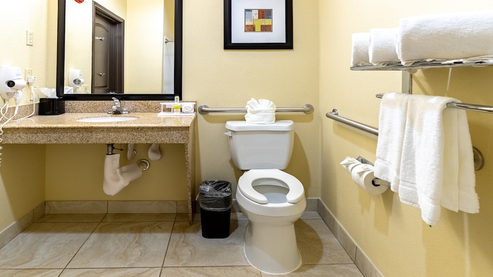 Holiday Inn Express & Suites Houston South near Pearland by IHG - photo 20
