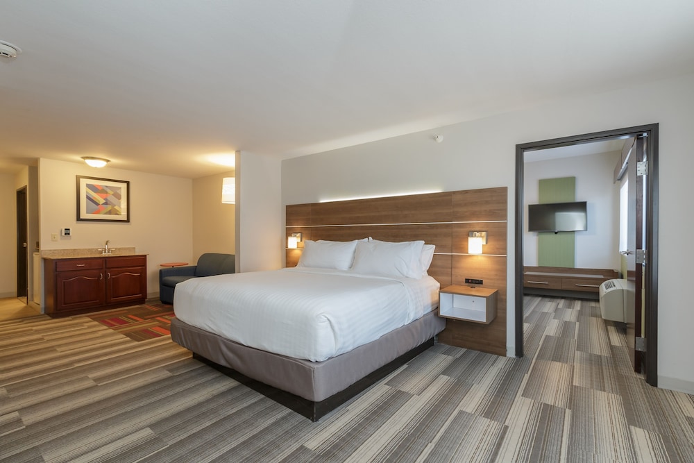Holiday Inn Express Hotel & Suites South Bend by IHG - photo 43