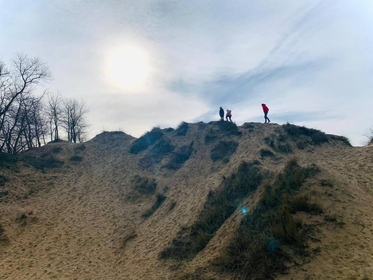 Potvis — Koksijde — photo 2