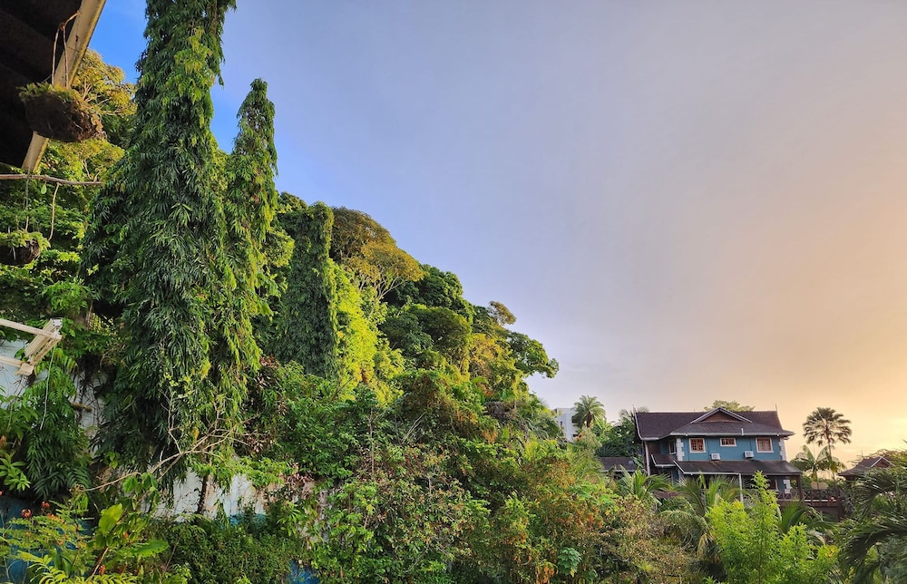 Flower Of Joy Wellness Villa — 4-Star Luxury Hotel in Port Of Spain, Trinidad and Tobago