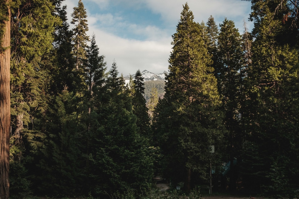 Silver City Mountain Resort - photo 140