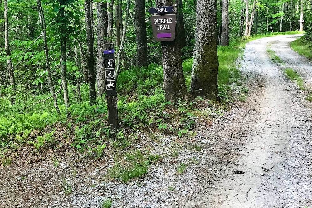 7 Mi to Ski Sapphire Valley: Resort style Retreat - photo 13