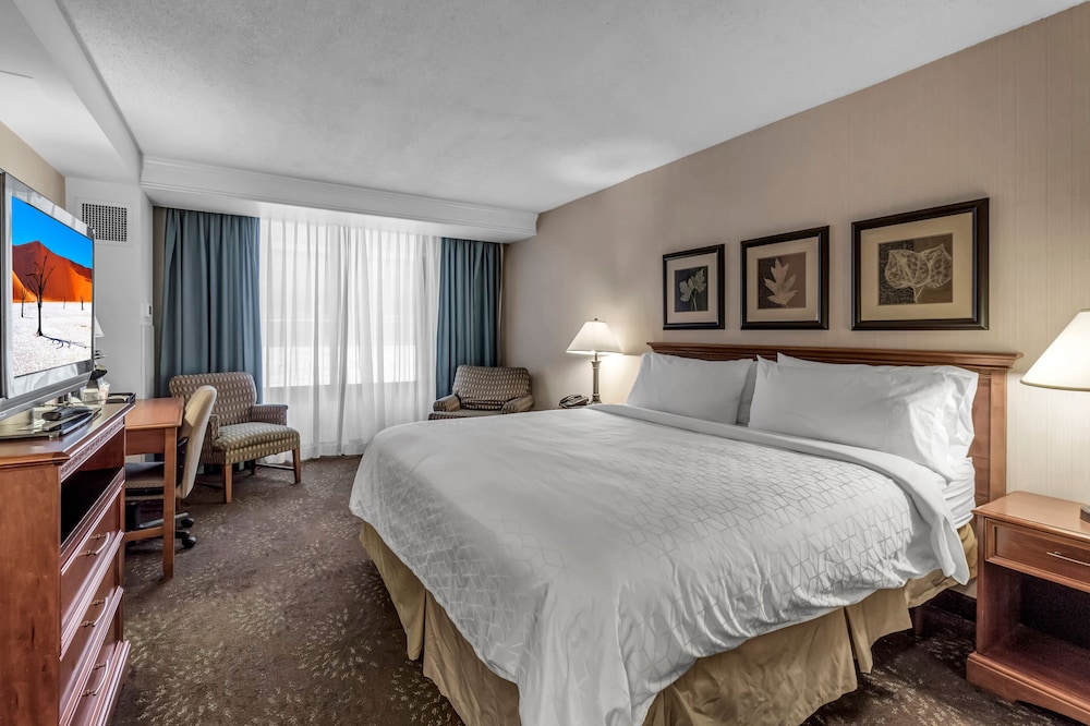 Buffalo Airport Hotel - photo 5