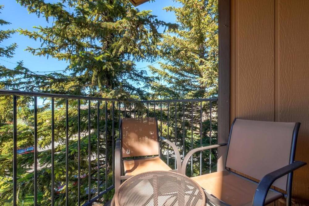 Ski Inn Condominiums by Resort Lodging Company - photo 65