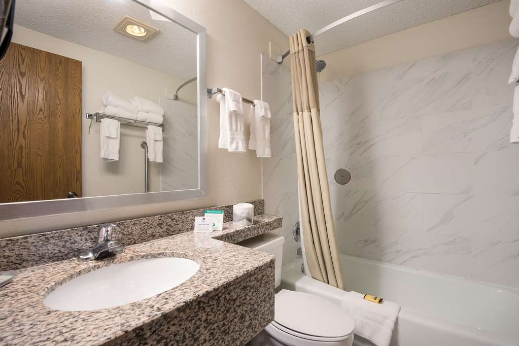 Best Western Mt. Pleasant Inn - photo 29