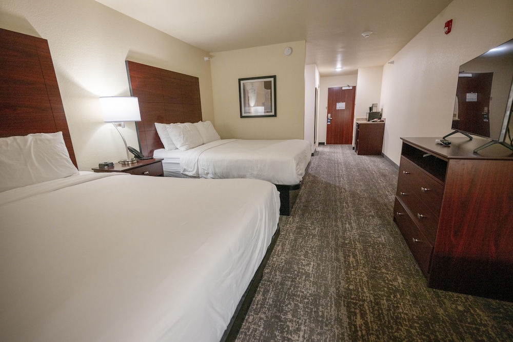 Cobblestone Hotel & Suites Lamar - photo 45