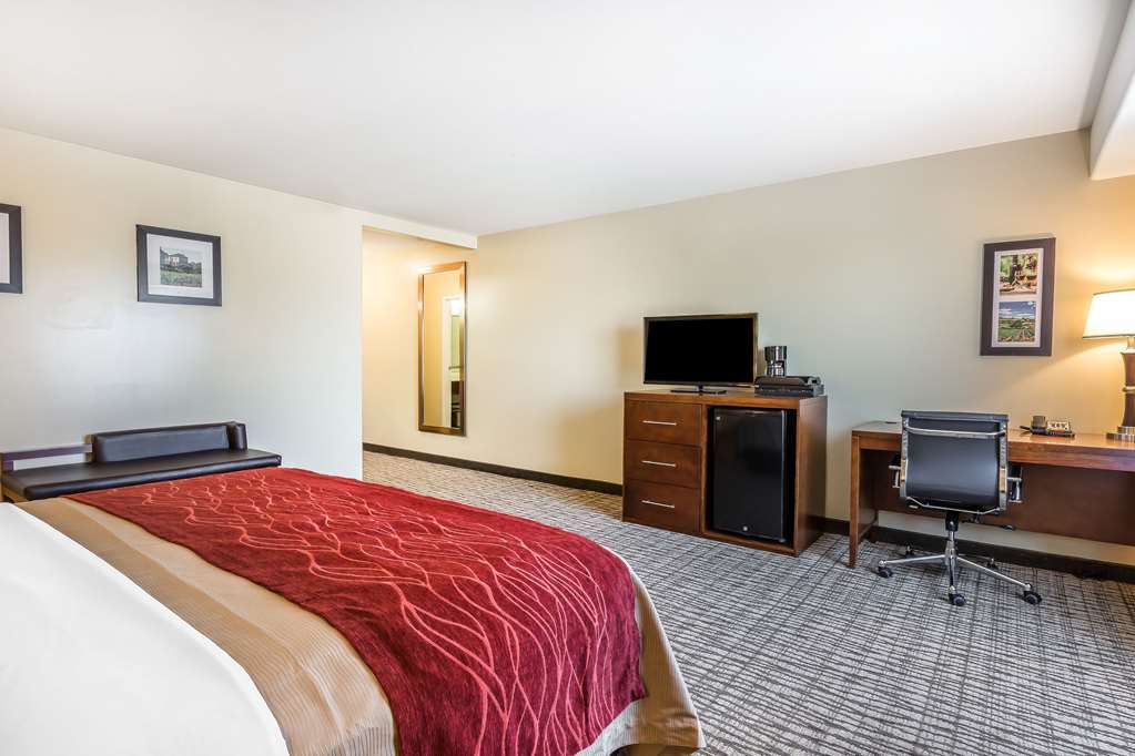 Comfort Inn Pomona near Fairplex - photo 21
