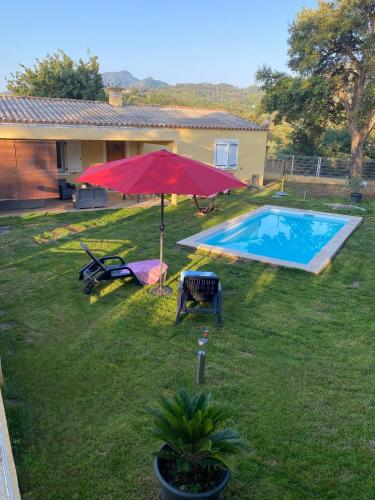 Agreable Rez De Jardin Avec Piscine Et Jacuzzi — Cervione
