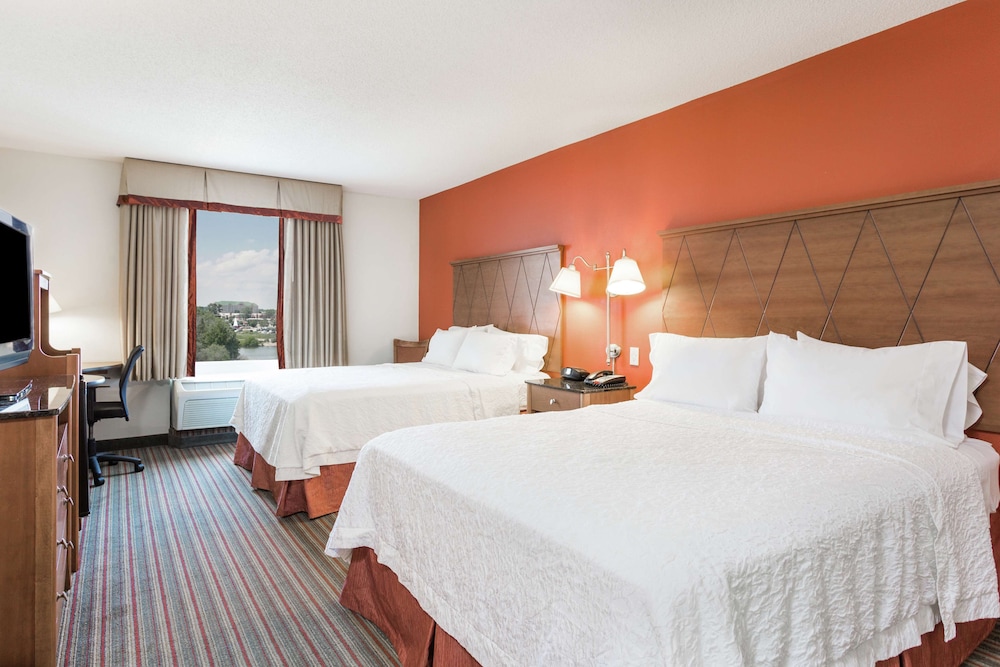 Hampton Inn Petersburg Southpark Mall - photo 11