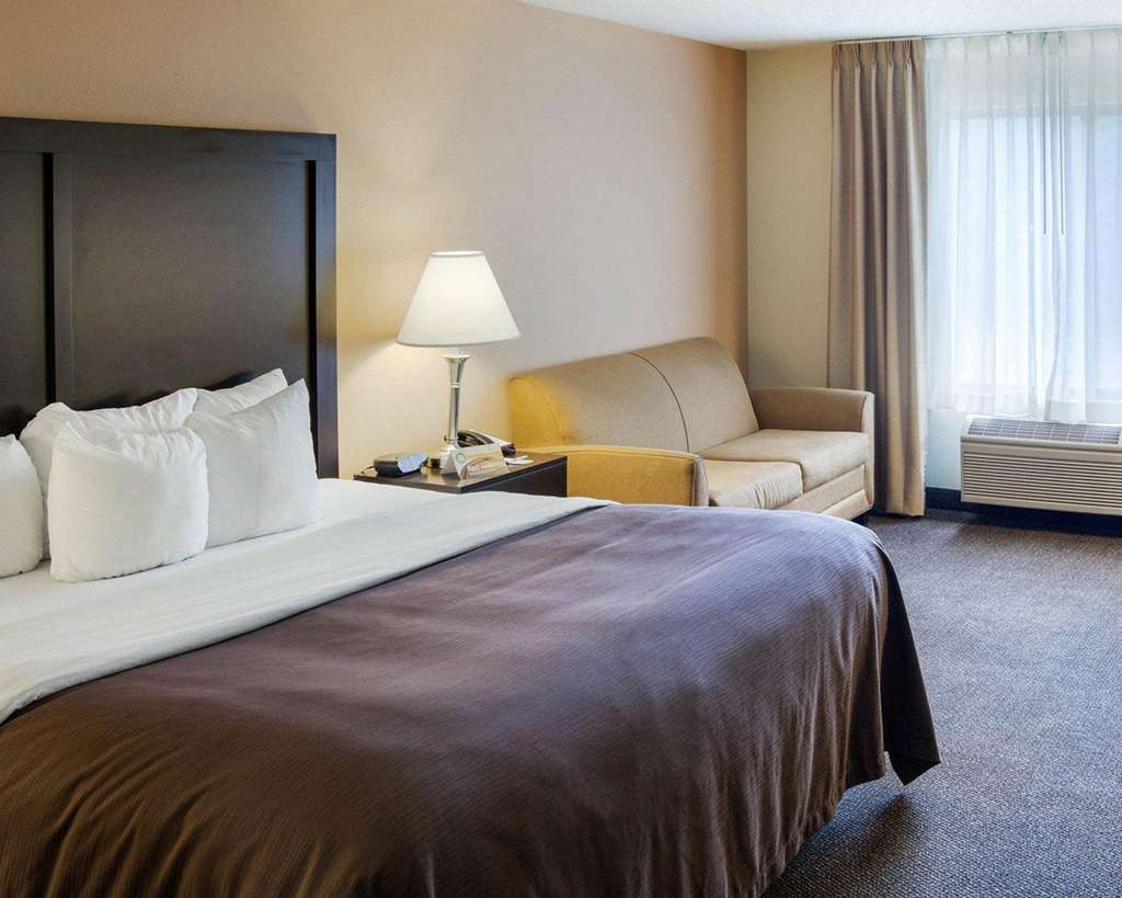 Quality Inn & Suites Niles - photo 12