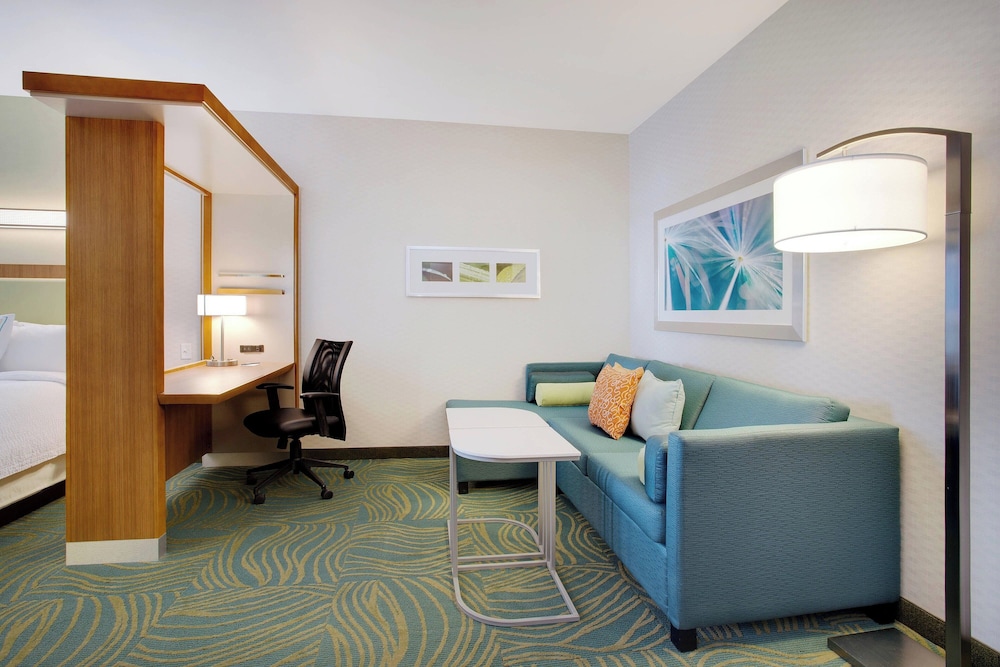 SpringHill Suites by Marriott Murray - photo 8