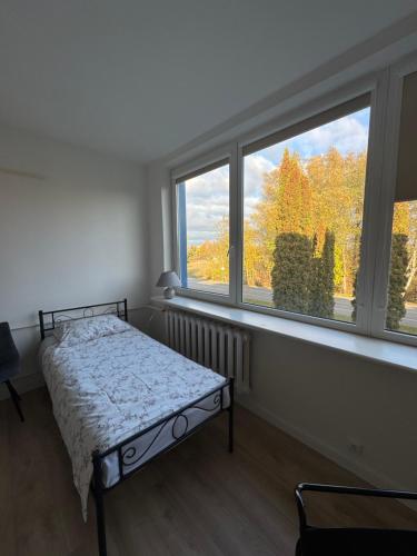 Plento G Apartamentai Biržuose — Birzai — photo 3