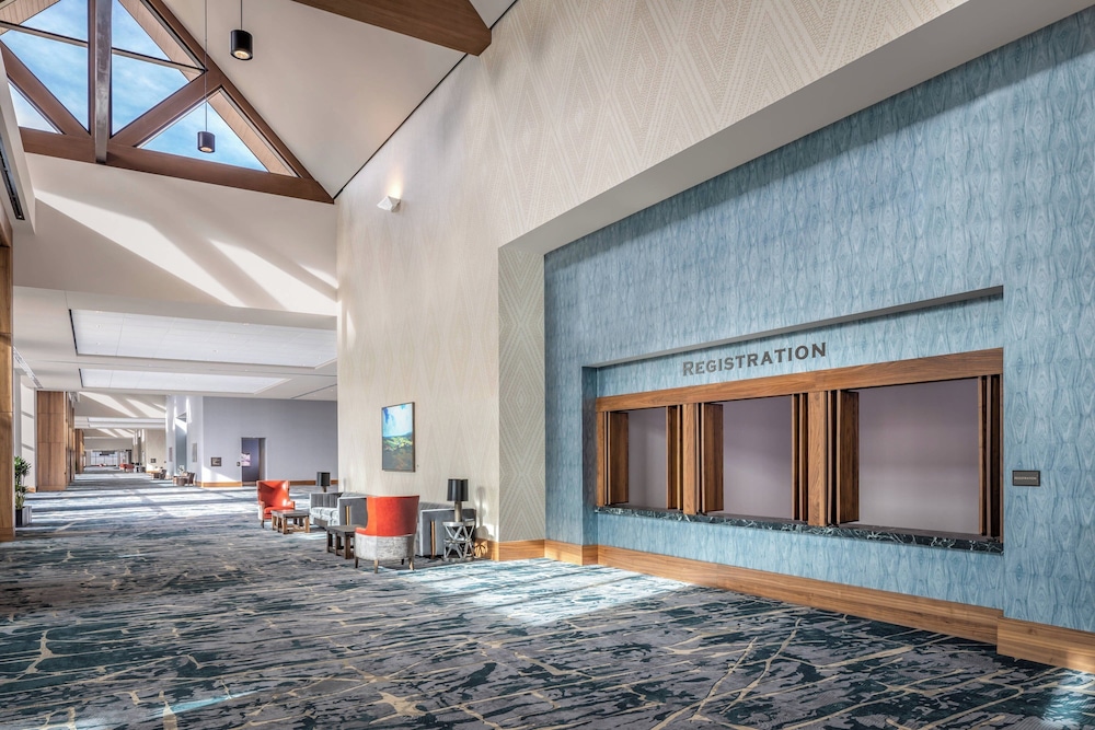 Gaylord Rockies Resort & Convention Center - photo 97
