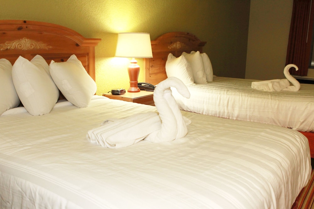 Suite Dreams Hotel - photo 12