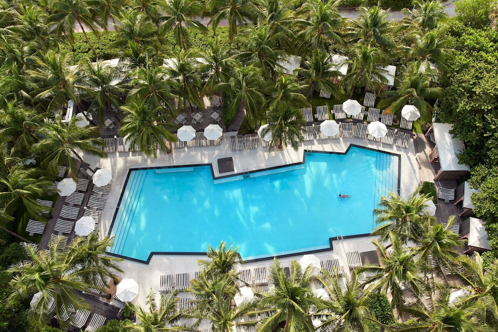 W South Beach - photo 243