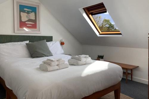 Cosy charm in heart of Brighton in Brighton, United Kingdom