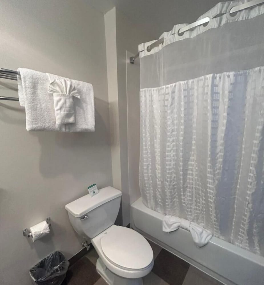 Hotel Mar Vista - photo 37