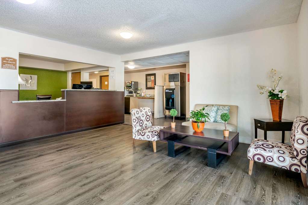 Quality Inn & Suites Leesburg Chain of Lakes - photo 3