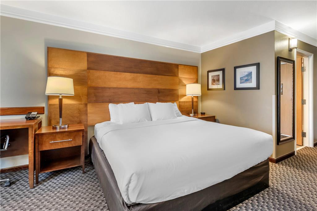 Comfort Inn & Suites Durango - photo 17