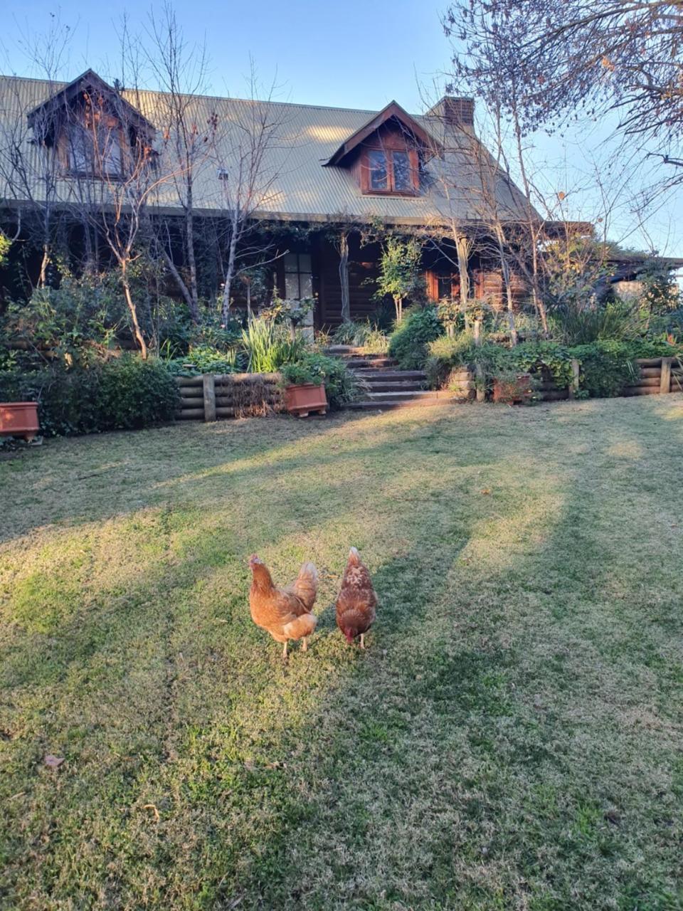 Angaston by the Winter Creek — hotel in Angaston