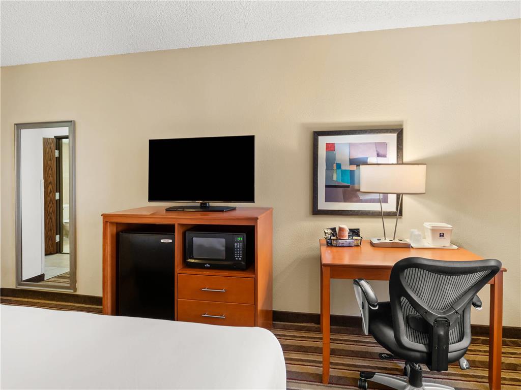 Comfort Inn Metro Airport - photo 38