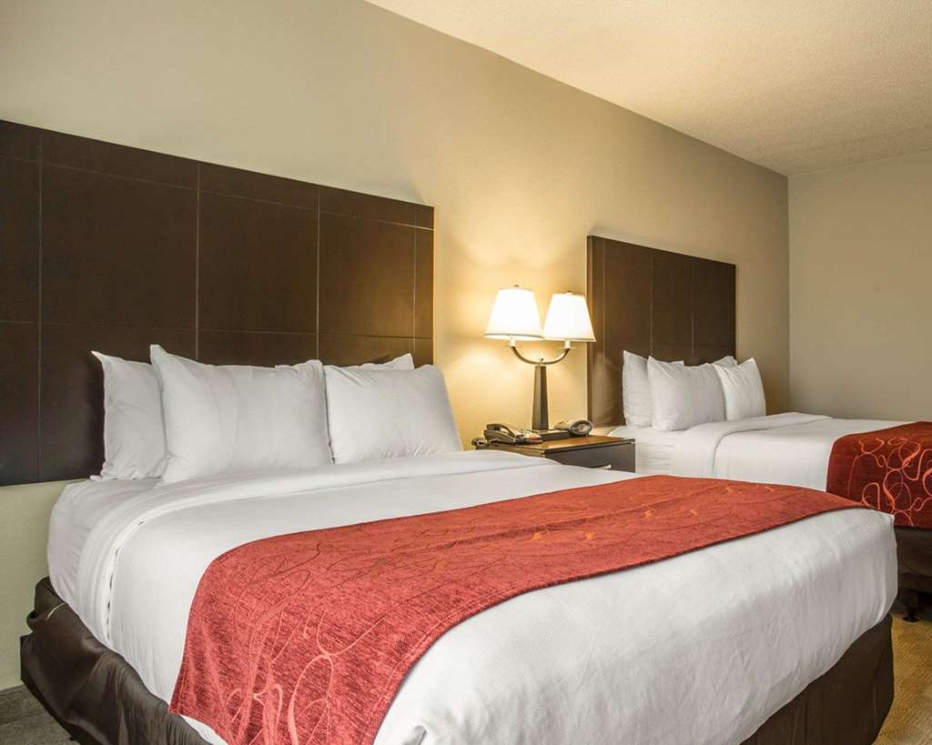 Comfort Suites Huntersville near Lake Norman - photo 24