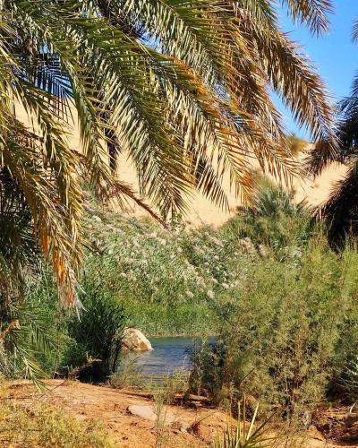 Auberge Tembahjit — Atar — photo 4