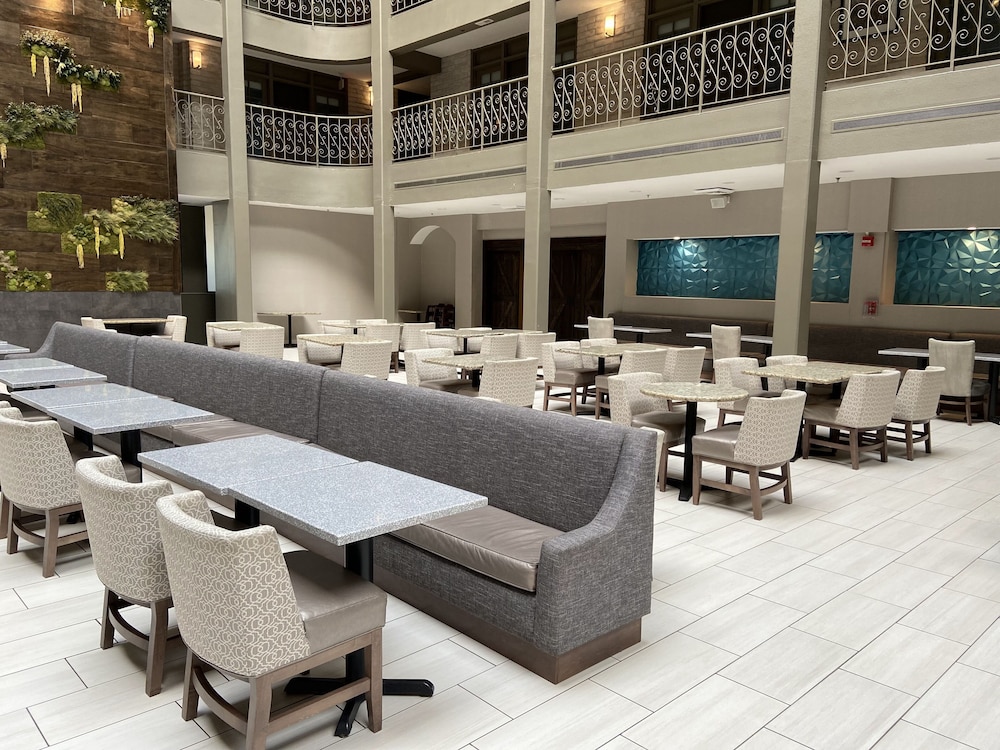 Embassy Suites by Hilton Chicago Schaumburg Woodfield - photo 29