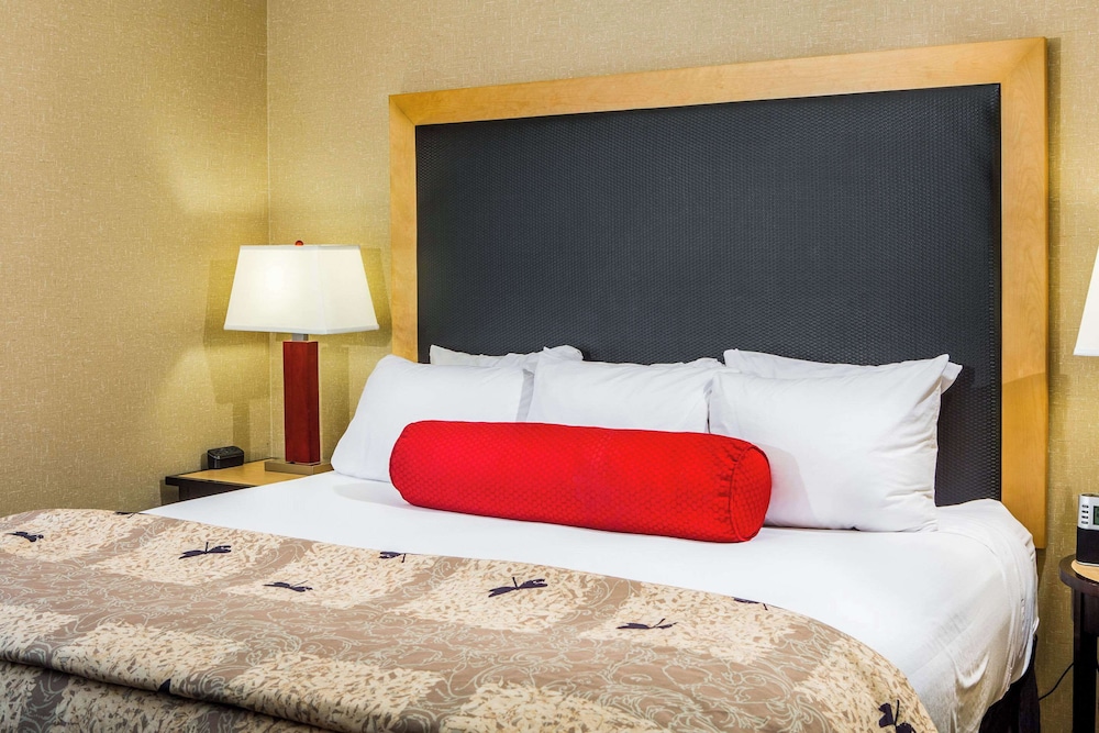 Cambria Hotel Raleigh Durham Airport - photo 28