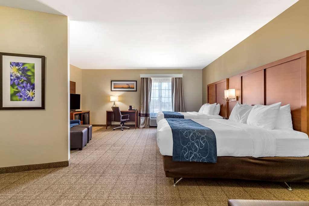 Comfort Suites Buda Austin South - photo 9