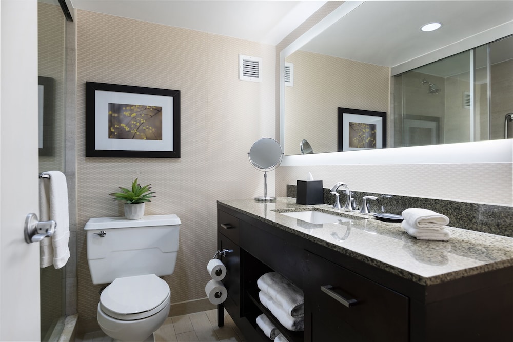 The Stamford Hotel - photo 18