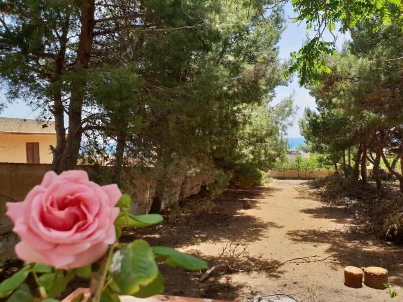 Mediterraneo — Castelvetrano — photo 4