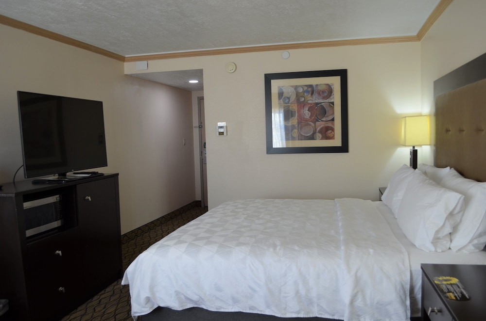 Holiday Inn Rock Springs by IHG - photo 16