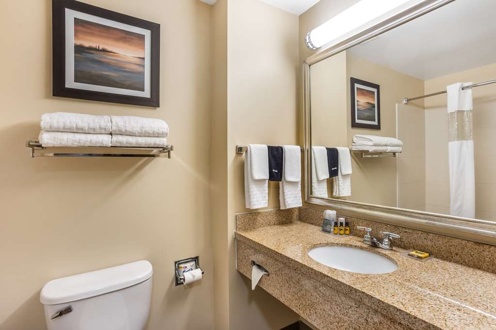 Best Western Plus University Park Inn & Suites - photo 30
