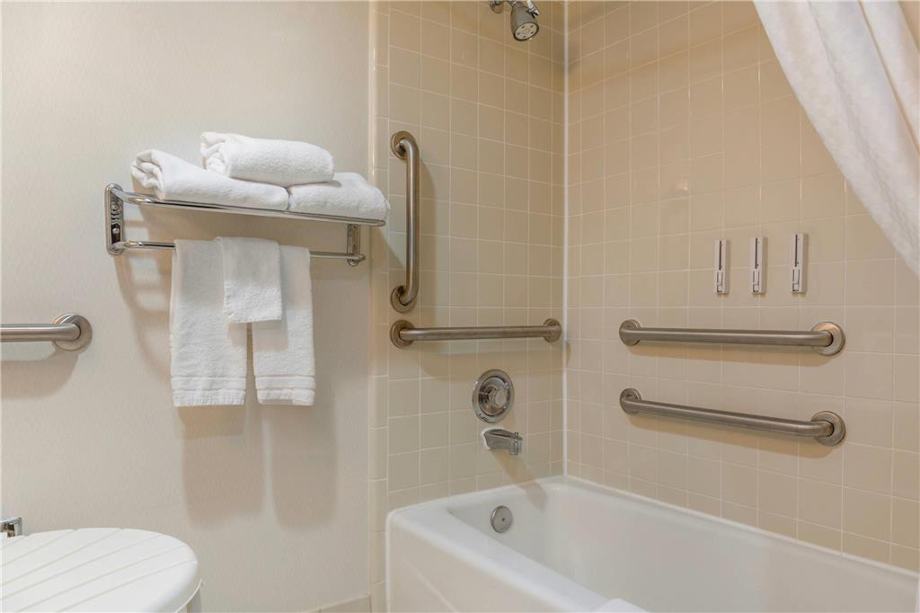 Radisson Hotel Detroit Metro Airport - photo 37