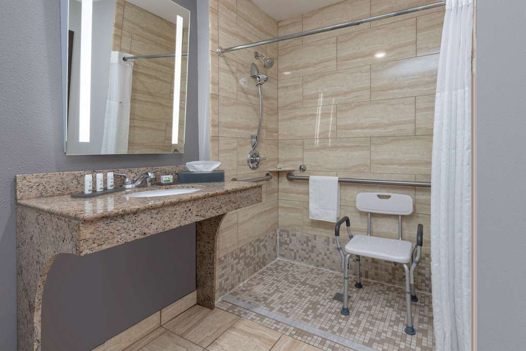 La Quinta Inn & Suites by Wyndham Allen at The Village - photo 22