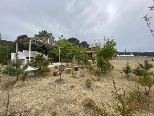 Cabañas Rochivo Ranch — Creel — photo 2