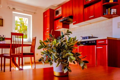 Abby — 4-Star Luxury Hotel in Krk, Croatia