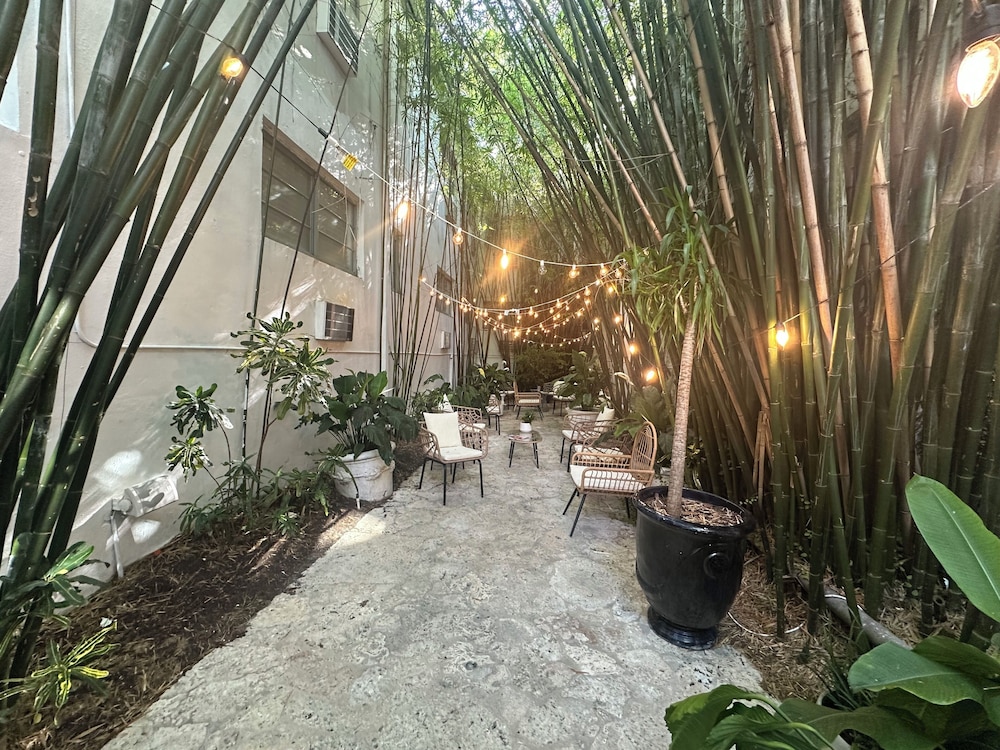 Dorset Hotel - photo 59