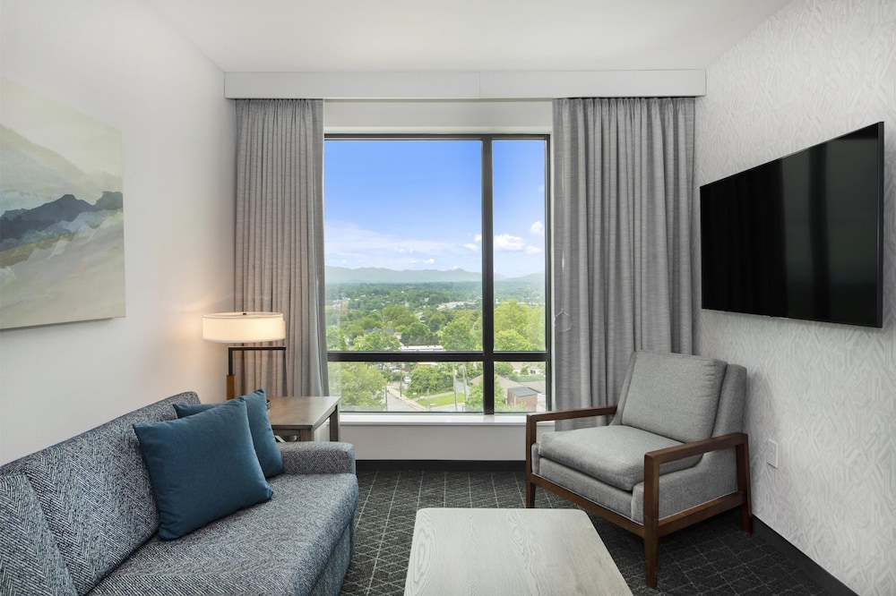 Embassy Suites By Hilton Asheville Downtown - photo 26