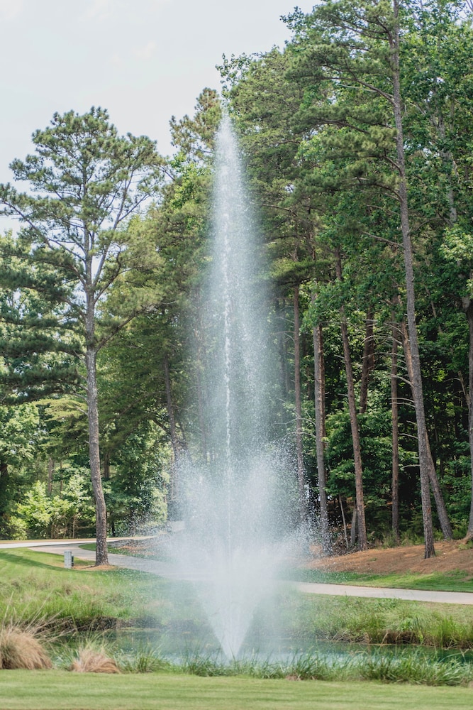 Lanier Islands Legacy Lodge - photo 87