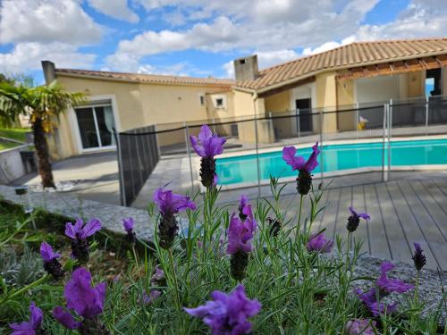 Carcassonne Tranquillement - last minute hotel in Carcassonne