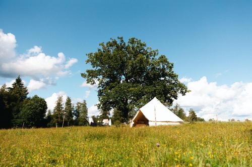 Glamping in Småland in Eksjoe, Sweden