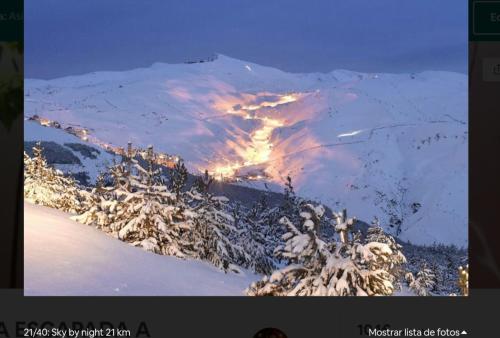 Confort by Congress Palace in Granada, Spain