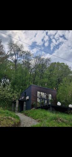 Forest Studio Corunca in Corunca, Romania